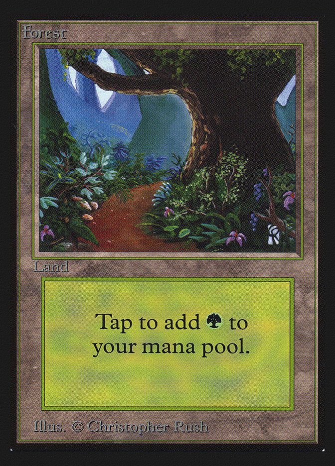 Forest (Flower Path) [International Collectors' Edition] | Lots Moore NSW