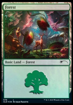 Forest (Predatory) (578) [Secret Lair Drop Promos] | Lots Moore NSW