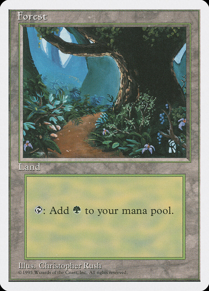 Forest (Flower Path) [Fourth Edition] | Lots Moore NSW