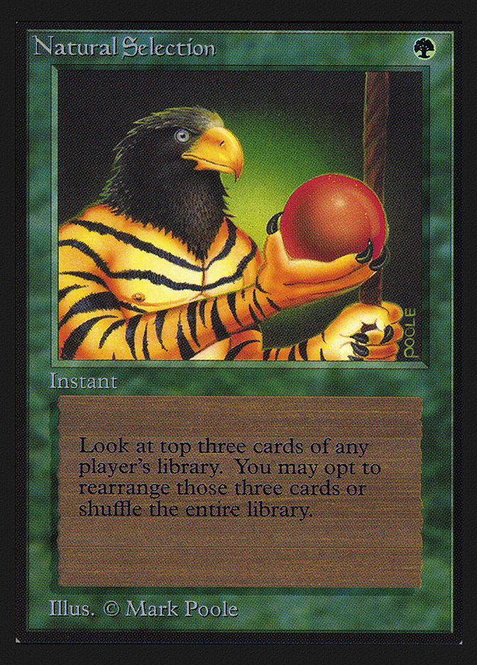Natural Selection [International Collectors' Edition] | Lots Moore NSW