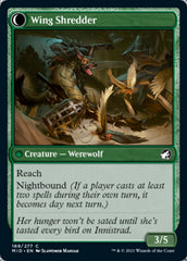 Bird Admirer // Wing Shredder [Innistrad: Midnight Hunt] | Lots Moore NSW