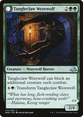 Tangleclaw Werewolf // Fibrous Entangler [Eldritch Moon] | Lots Moore NSW