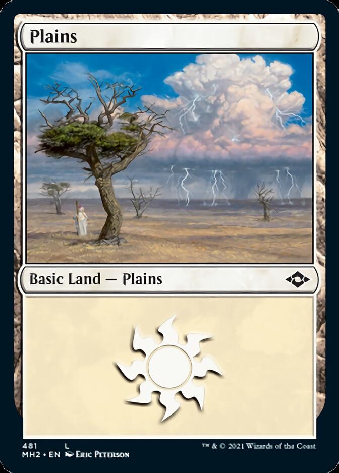 Plains (481) (Foil Etched) [Modern Horizons 2] | Lots Moore NSW