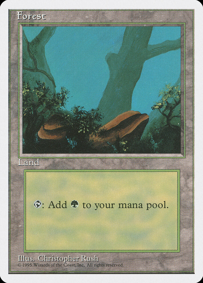 Forest (Two Stones) [Fourth Edition] | Lots Moore NSW