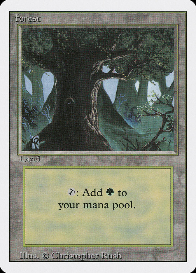 Forest (Eyes in Tree) [Revised Edition] | Lots Moore NSW
