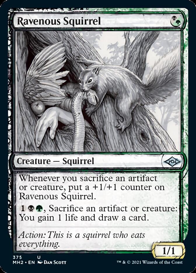 Ravenous Squirrel (Sketch) [Modern Horizons 2] | Lots Moore NSW