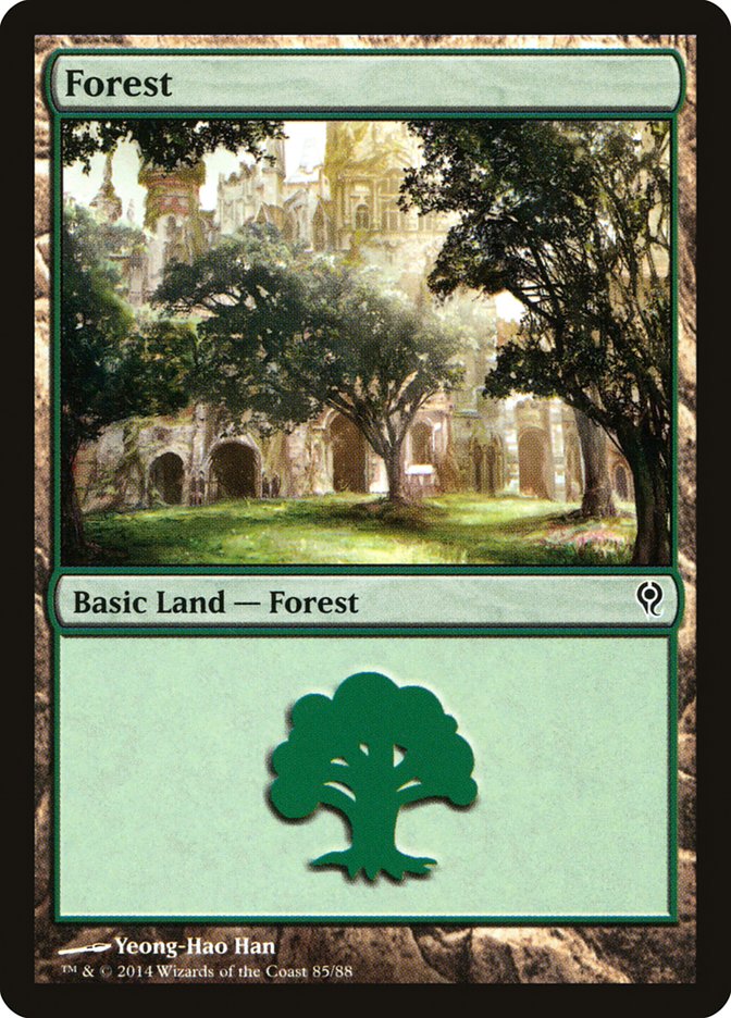 Forest (85) [Duel Decks: Jace vs. Vraska] | Lots Moore NSW