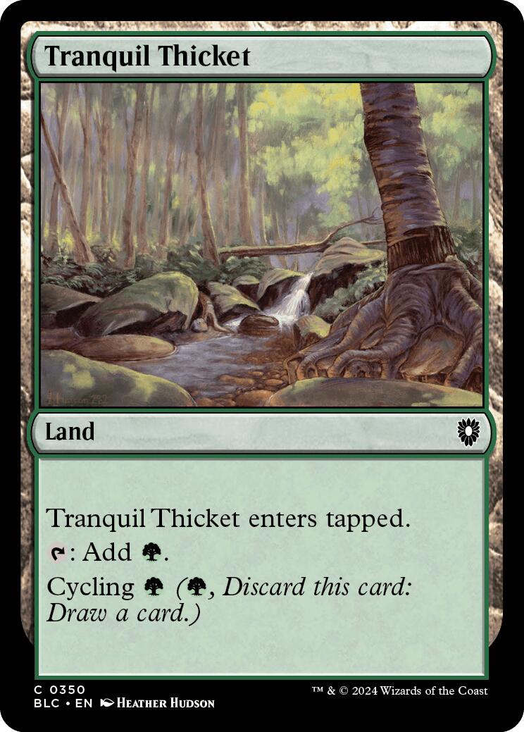 Tranquil Thicket [Bloomburrow Commander] | Lots Moore NSW