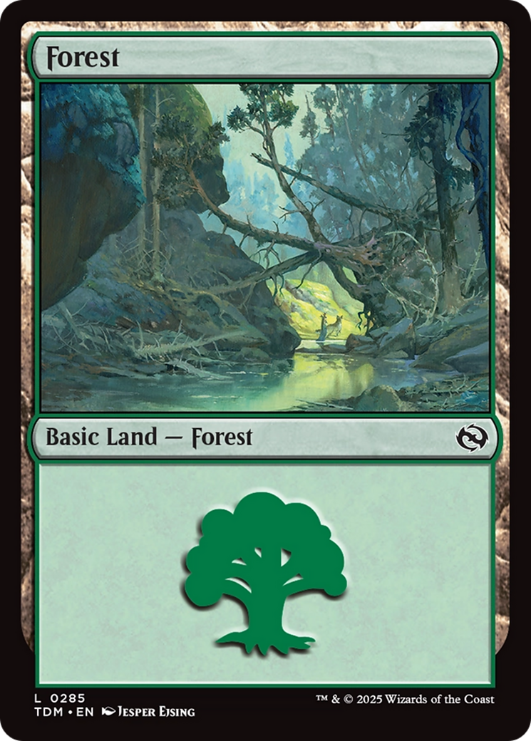 Forest (0285) [Tarkir: Dragonstorm] | Lots Moore NSW