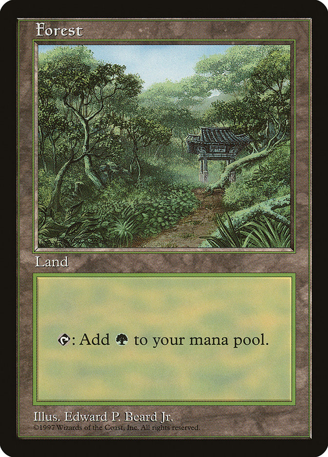 Forest (11) [Asia Pacific Land Program] | Lots Moore NSW