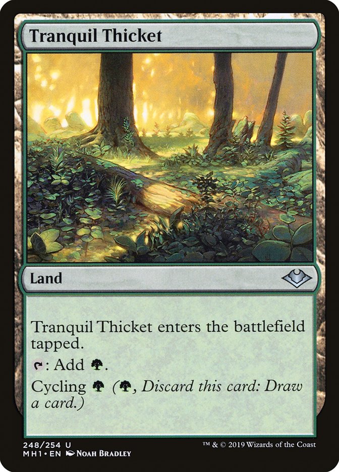 Tranquil Thicket [Modern Horizons] | Lots Moore NSW