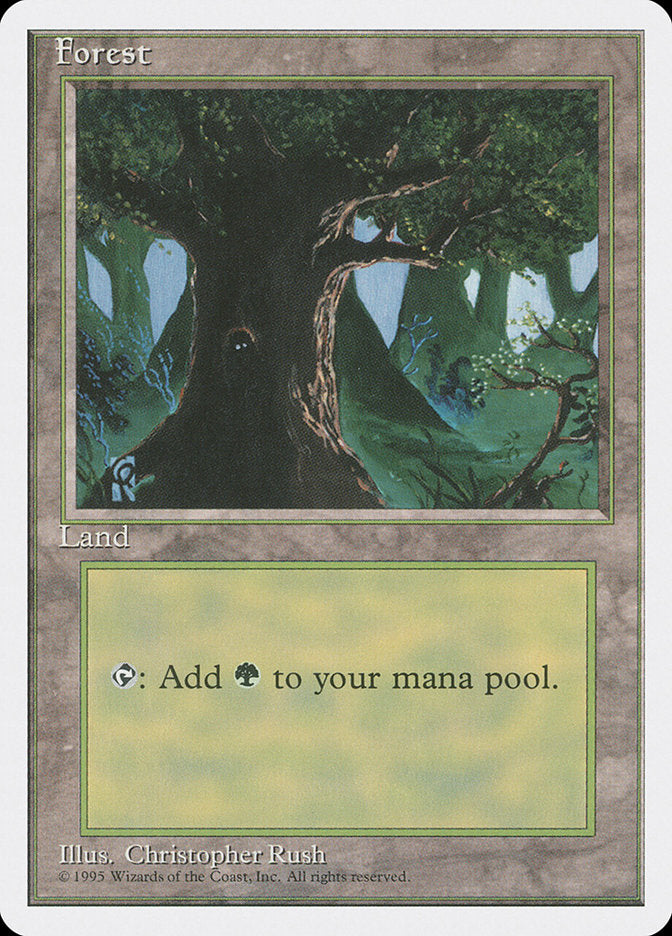 Forest (Eyes in Tree) [Fourth Edition] | Lots Moore NSW