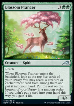 Blossom Prancer [The List] | Lots Moore NSW