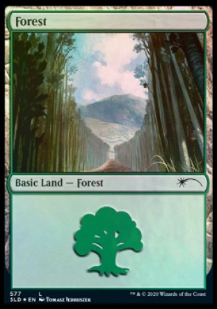 Forest (Walls) (577) [Secret Lair Drop Promos] | Lots Moore NSW