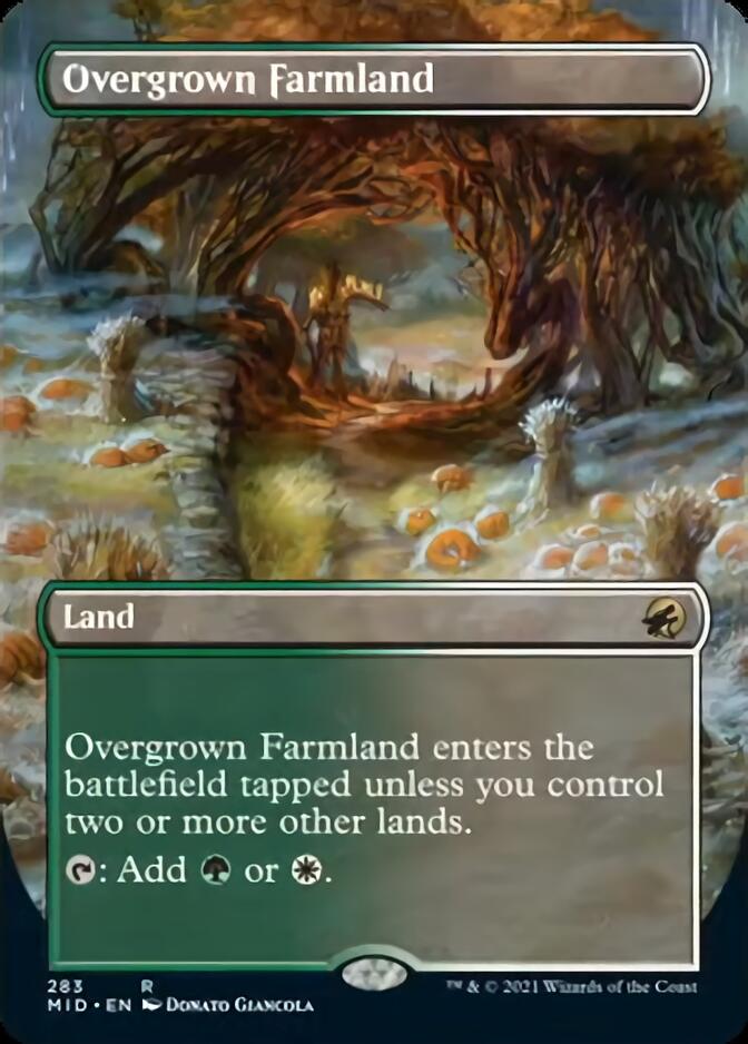 Overgrown Farmland (Borderless Alternate Art) [Innistrad: Midnight Hunt] | Lots Moore NSW