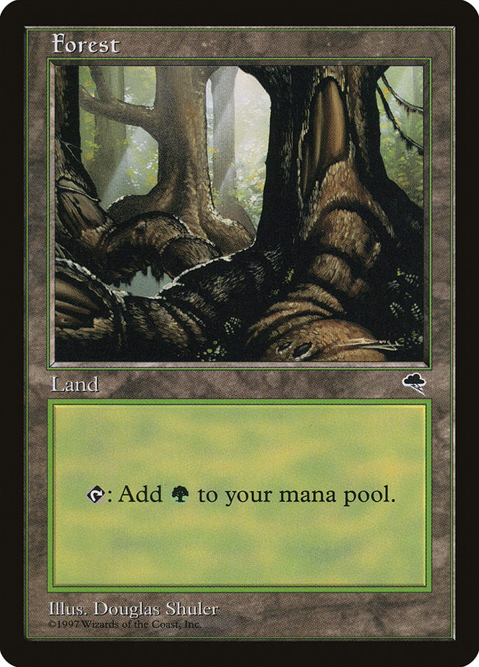 Forest (Large Roots) [Tempest] | Lots Moore NSW
