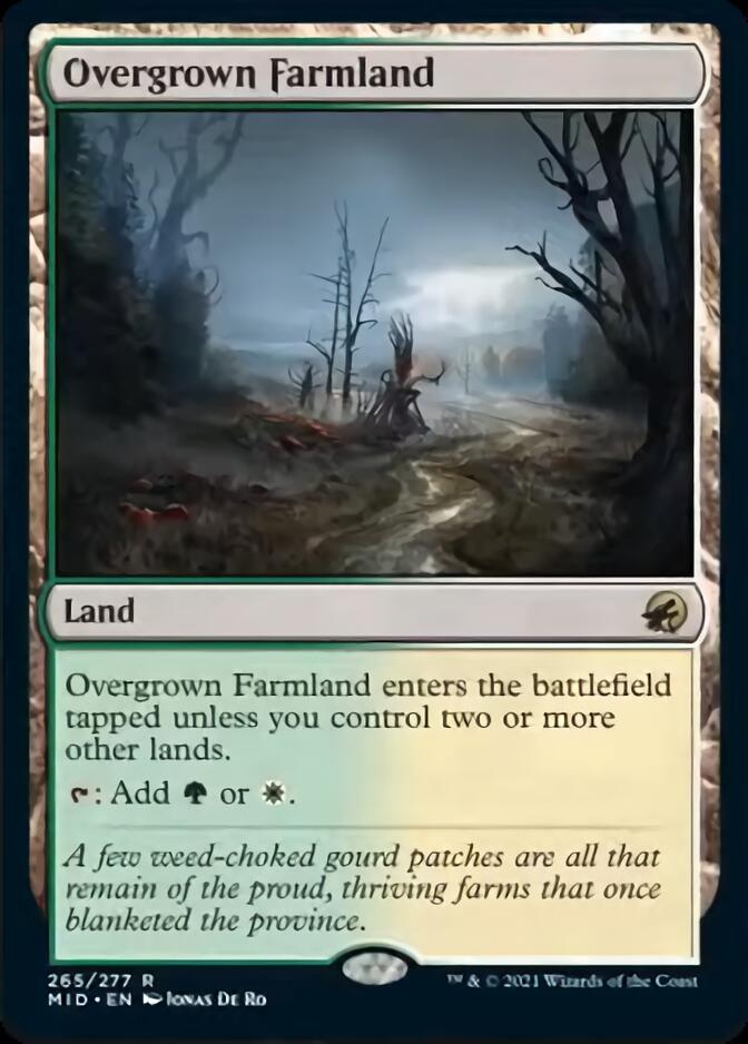 Overgrown Farmland [Innistrad: Midnight Hunt] | Lots Moore NSW