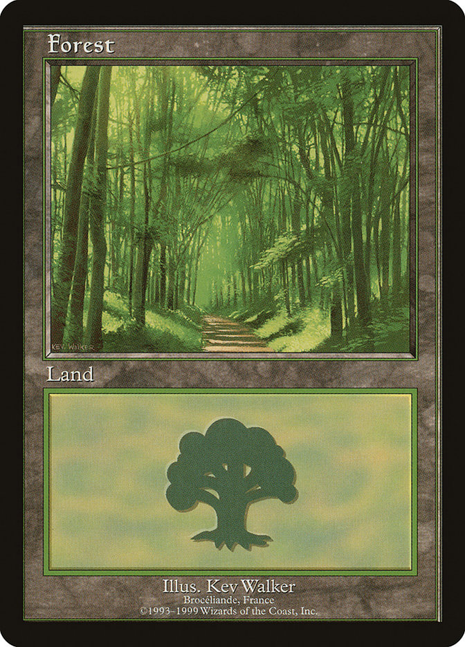 Forest (6) [European Land Program] | Lots Moore NSW