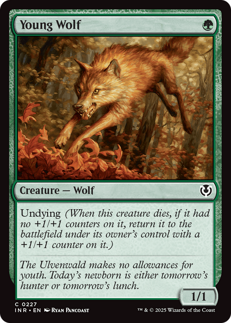 Young Wolf [Innistrad Remastered] | Lots Moore NSW
