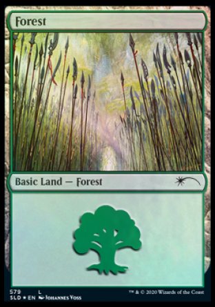 Forest (Elves) (579) [Secret Lair Drop Promos] | Lots Moore NSW