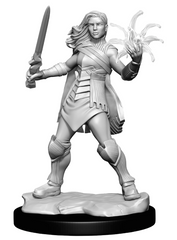 Magic the Gathering Unpainted Miniatures Rowan Kenrith & Will Kenrith | Lots Moore NSW