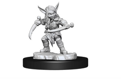 Critical Role Unpainted Miniatures Goblin Sorceror and Rogue Female | Lots Moore NSW