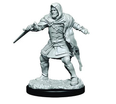 Critical Role Unpainted Miniatures Hollow One Rogue and Sorceror Male | Lots Moore NSW