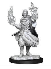 Critical Role Unpainted Miniatures Hollow One Rogue and Sorceror Male | Lots Moore NSW