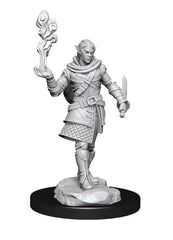 Critical Role Unpainted Miniatures Pallid Elf Rogue and Bard Male | Lots Moore NSW