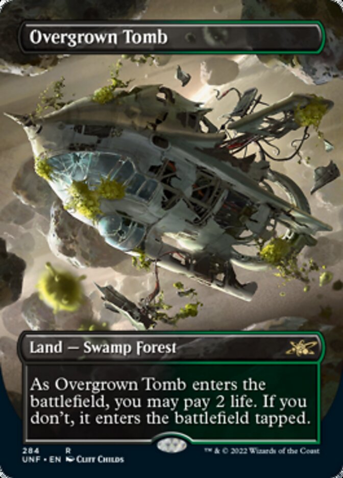 Overgrown Tomb (Borderless) [Unfinity] | Lots Moore NSW