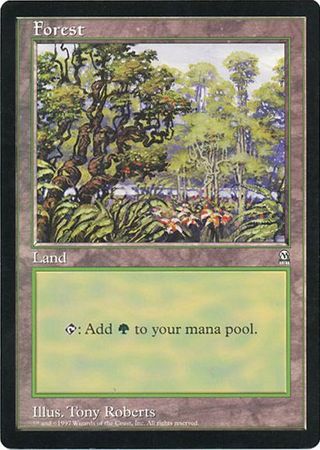 Forest (Oversized) [Oversize Cards] | Lots Moore NSW