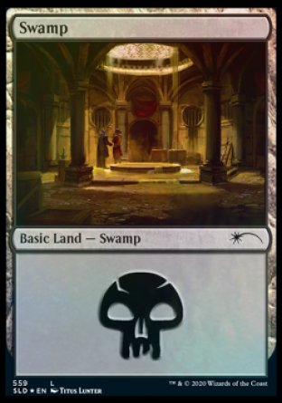 Swamp (Rogues) (559) [Secret Lair Drop Promos] | Lots Moore NSW
