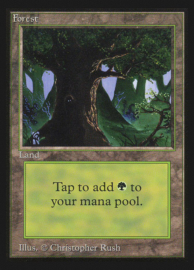 Forest (Eyes in Tree) [Collectors' Edition] | Lots Moore NSW