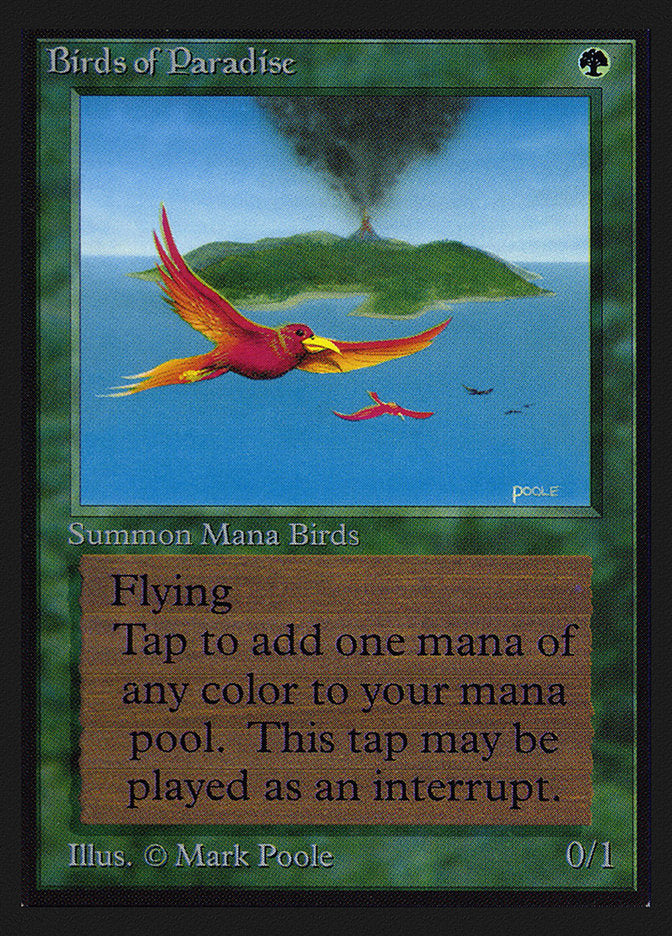 Birds of Paradise [Collectors' Edition] | Lots Moore NSW