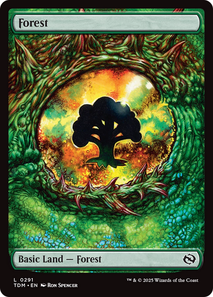 Forest (0291) [Tarkir: Dragonstorm] | Lots Moore NSW