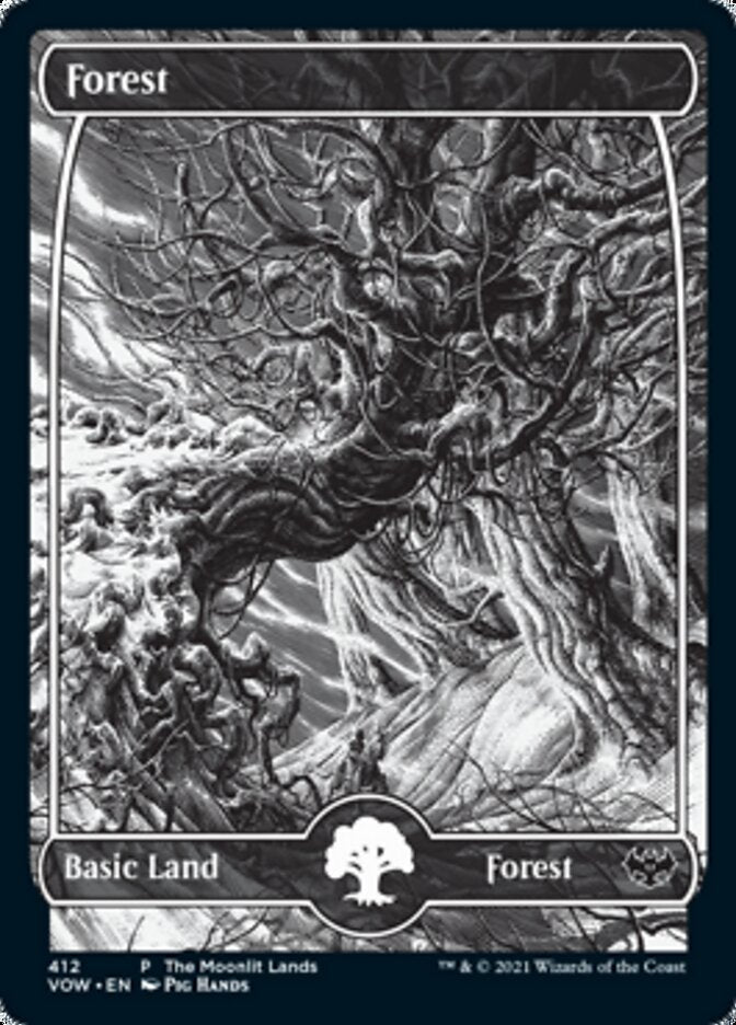 Forest (The Moonlit Lands) (Foil Etched) [Innistrad: Crimson Vow Promos] | Lots Moore NSW