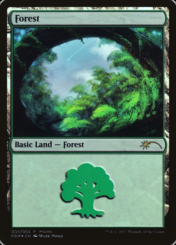 Forest (5) [2017 Gift Pack] | Lots Moore NSW