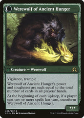 Sage of Ancient Lore // Werewolf of Ancient Hunger [Shadows over Innistrad] | Lots Moore NSW