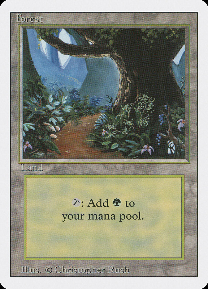 Forest (Flower Path) [Revised Edition] | Lots Moore NSW
