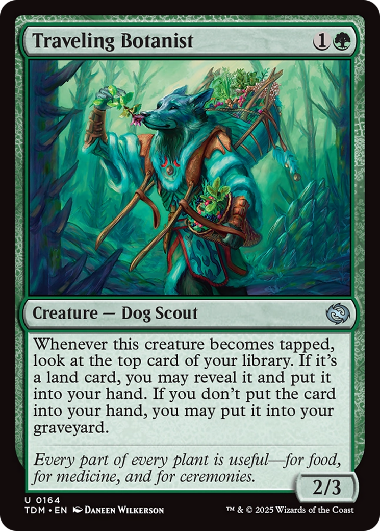 Traveling Botanist [Tarkir: Dragonstorm] | Lots Moore NSW