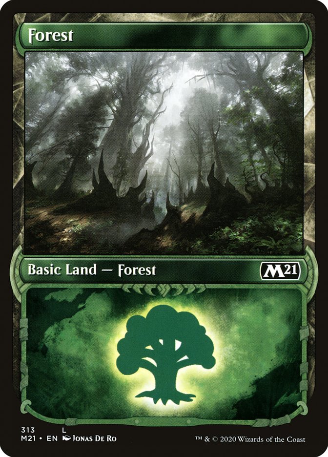Forest (313) (Showcase) [Core Set 2021] | Lots Moore NSW