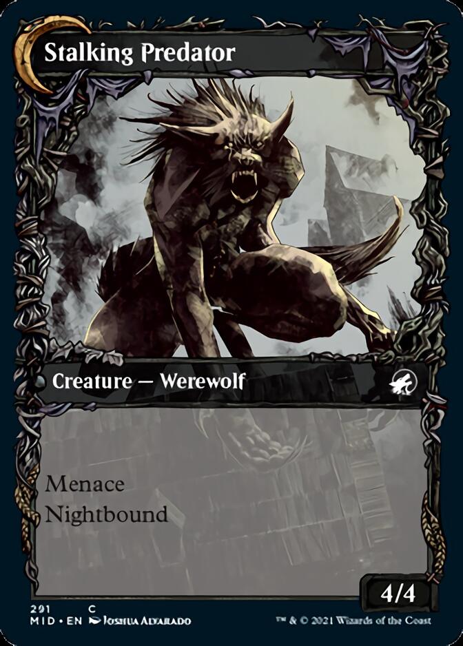 Shady Traveler // Stalking Predator (Showcase Equinox) [Innistrad: Midnight Hunt] | Lots Moore NSW