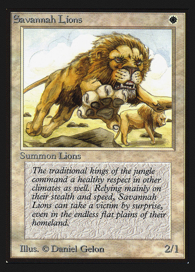 Savannah Lions [Collectors' Edition] | Lots Moore NSW