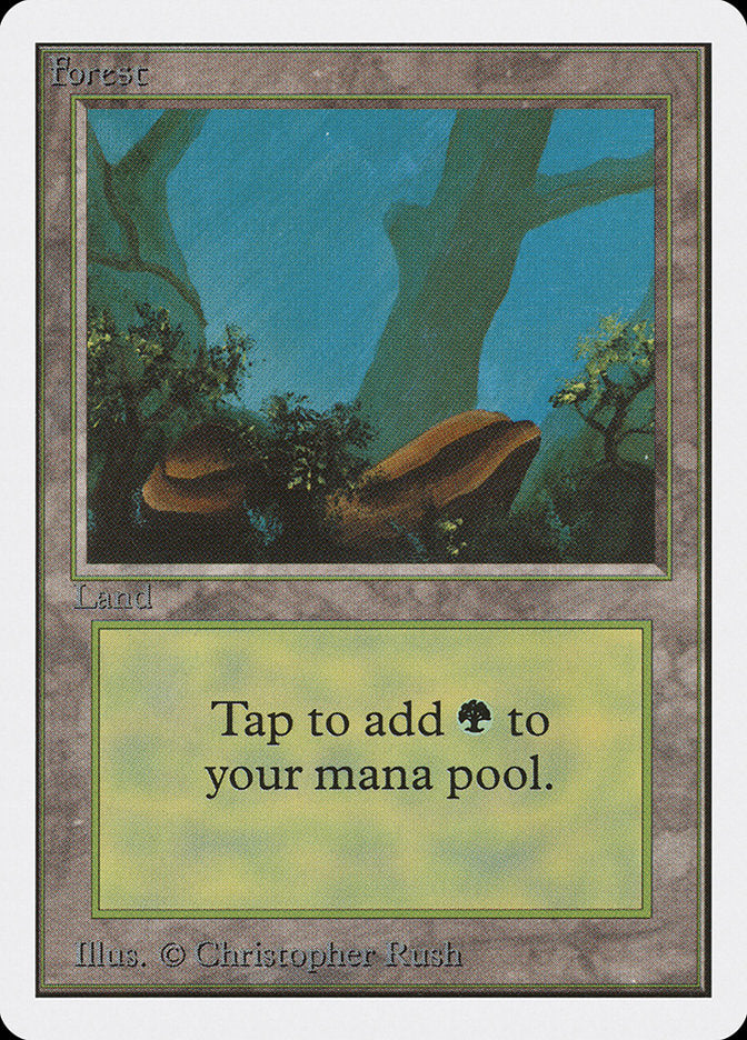 Forest (300) [Unlimited Edition] | Lots Moore NSW