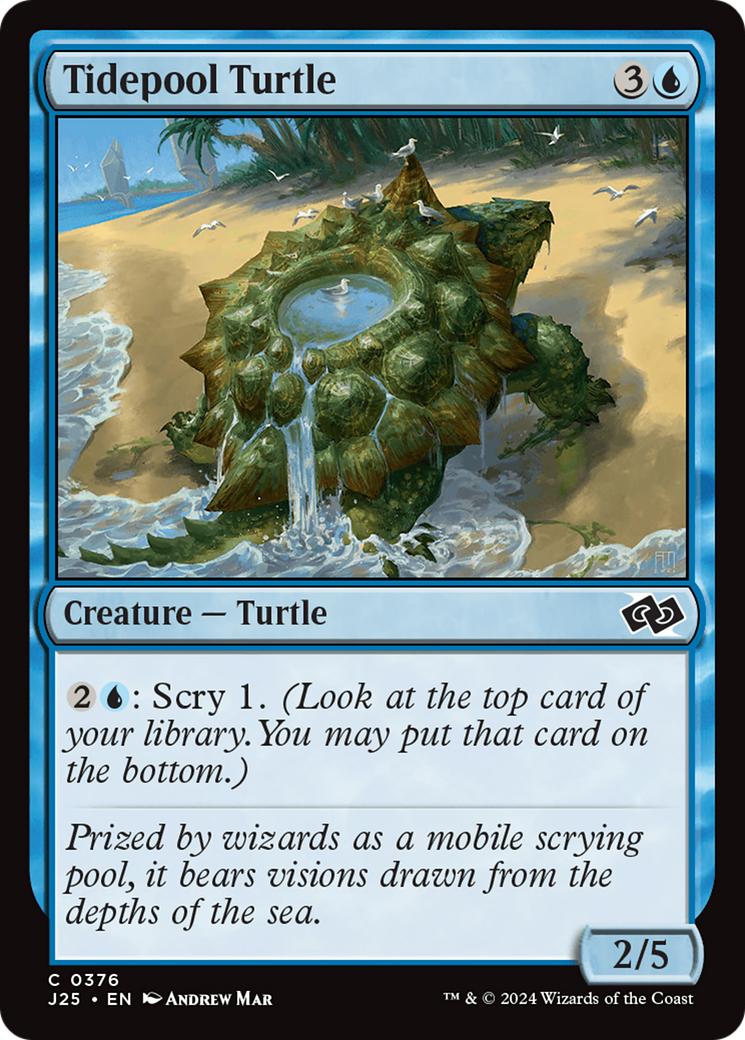 Tidepool Turtle [Foundations Jumpstart] | Lots Moore NSW