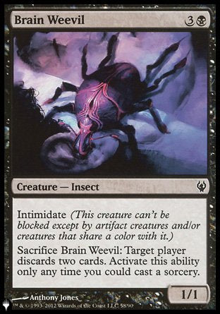 Brain Weevil [The List] | Lots Moore NSW
