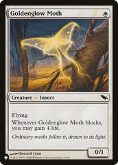 Goldenglow Moth [The List] | Lots Moore NSW