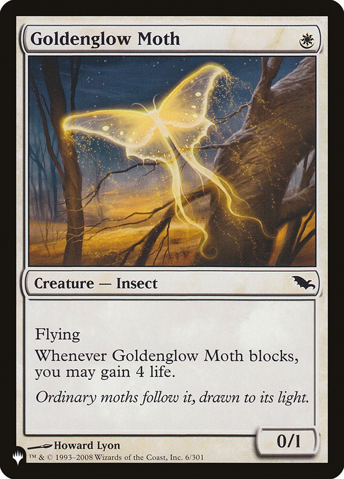 Goldenglow Moth [The List] | Lots Moore NSW