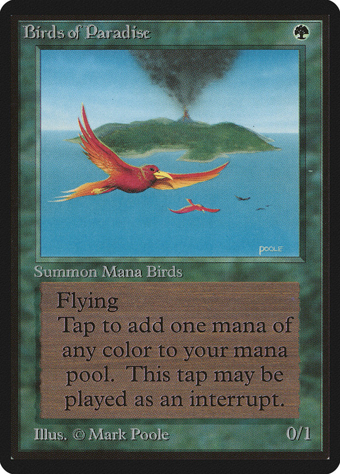 Birds of Paradise [Beta Edition] | Lots Moore NSW