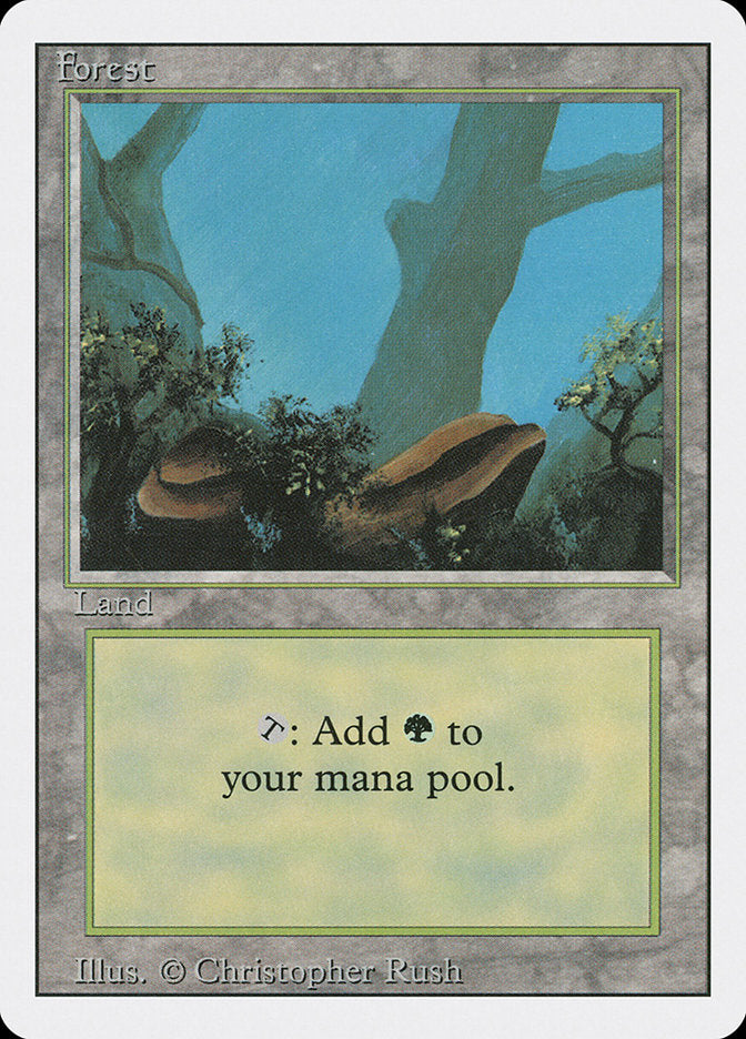 Forest (Two Stones) [Revised Edition] | Lots Moore NSW
